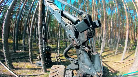 一台机器在森林里用树干工作视频的预览图
