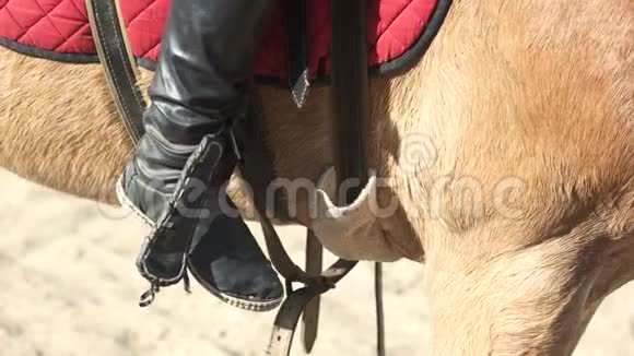 骑在皮靴和马鞍上的腿视频的预览图