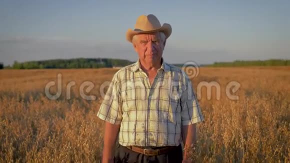 日落时分戴着牛仔帽的老白种人在麦田里散步视频的预览图