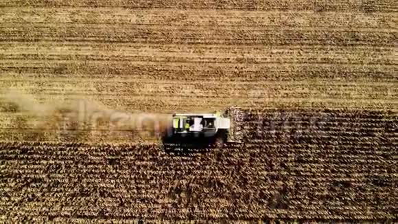 鸟瞰现代联合收割小麦的黄色麦田就在眼前农业现场视频的预览图