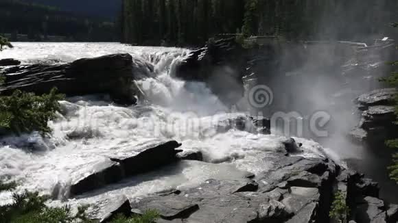 阿萨巴斯卡瀑布视频的预览图