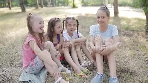四个女朋友坐在公园的草地上聊天视频的预览图