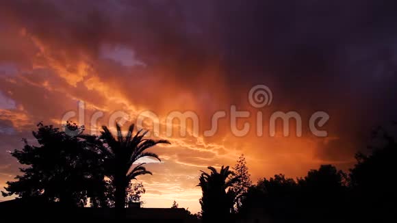 房子的屋顶和树木的剪影包括棕榈树在一个令人惊叹的日落天空前上帝的光线透过视频的预览图