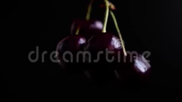 在黑色背景下旋转的深红色樱桃视频的预览图