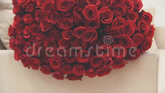 在沙发上摆着一束又大又红的玫瑰花视频的预览图