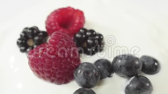 新鲜健康食品蓝莓落入酸奶与覆盆子和黑莓鲜果溅在鲜奶油里视频的预览图