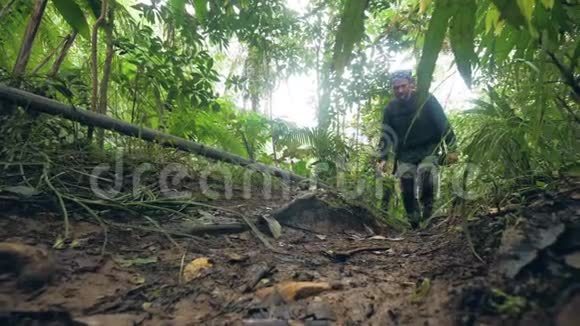 旅行者在茂密的热带雨林中徒步旅行而夏季旅行热带丛林低视角游客视频的预览图