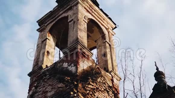 在森林里古老的废弃的基督教寺庙逆天而行很有感情视频的预览图