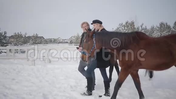 英俊的男人和可爱的女人牵着两匹棕色的马在雪冬牧场说话快乐积极的夫妻视频的预览图