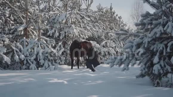 一个年轻人带着一匹马走在户外背景是白雪覆盖的圣诞树和松树他开着一辆视频的预览图