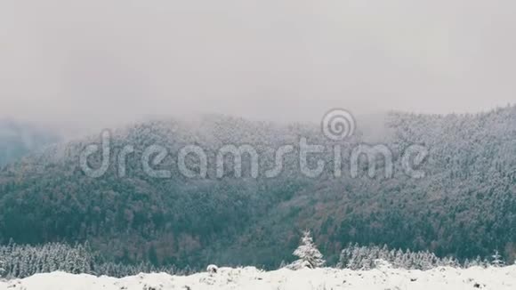 远处看着白雪覆盖的树梢喀尔巴阡山十月高原第一场雪视频的预览图