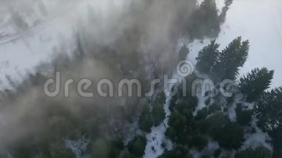 云中的冬山雪林视频的预览图