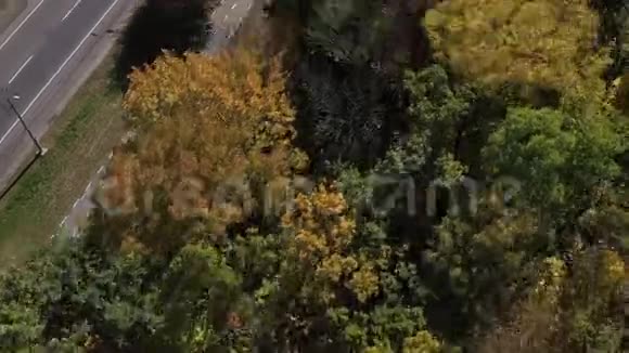 一个人骑着自行车沿着森林附近的一条道路从秋天的树木上方拍摄的动态空中开车的汽车视频的预览图