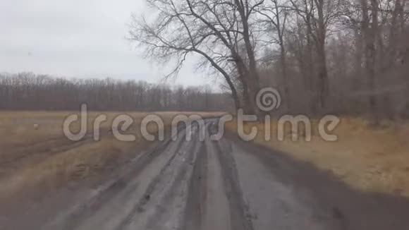 在一个阴天的秋天汽车在泥泞的乡村道路上行驶视频的预览图
