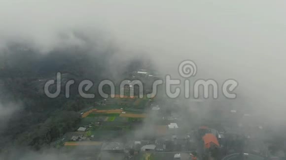 巴厘岛云层中的水稻梯田景观视频的预览图