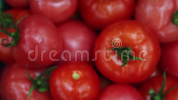 农夫把新鲜的番茄放在堆里收割有机蔬菜关闭视频的预览图