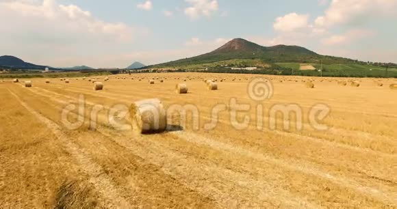 在一个阳光明媚的日子里乡间一片长满干草的麦田美丽的山景视频的预览图