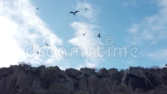候鸟在靠近海岸的水流上翱翔视频的预览图