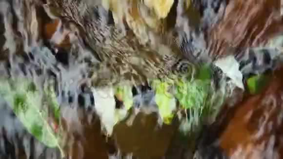 靠近一条潺潺的溪流流过被困的叶子然后稍微向下游蒸发形成棕色的水视频的预览图