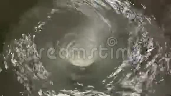 容器中的机器产生水涡视频的预览图