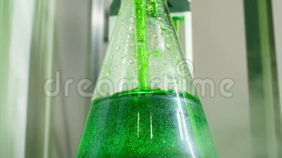 实验室用绿色液体和玻璃瓶进行科学化学实验视频的预览图