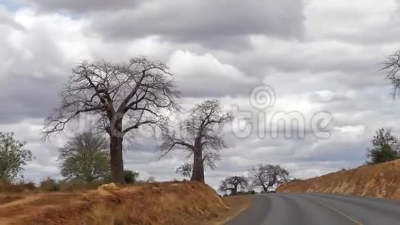 包巴去肯尼亚查沃公园路上的风景视频的预览图