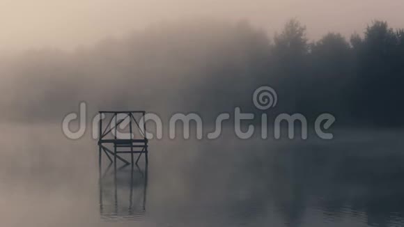 早晨雾蒙蒙的池塘里视频的预览图