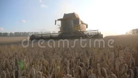 镜头跟随谷物收割机在晴天收集小麦联合骑马穿过农村的大麦茎秆视频的预览图