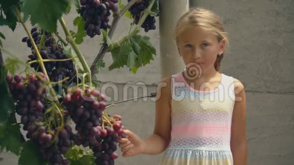 吃葡萄的女孩视频的预览图
