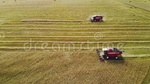 两台收割机红色收割农作物视频的预览图