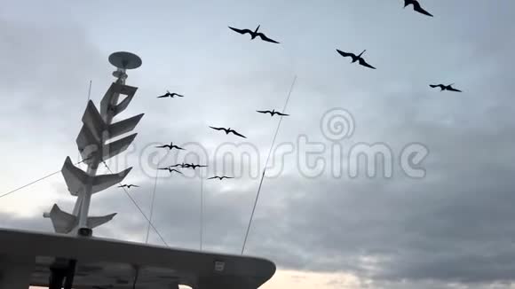 军舰鸟飞在船上雷达桅杆旁边视频的预览图