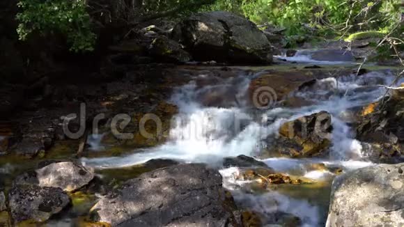 山河清澈见底水在树间的石头上流动视频的预览图
