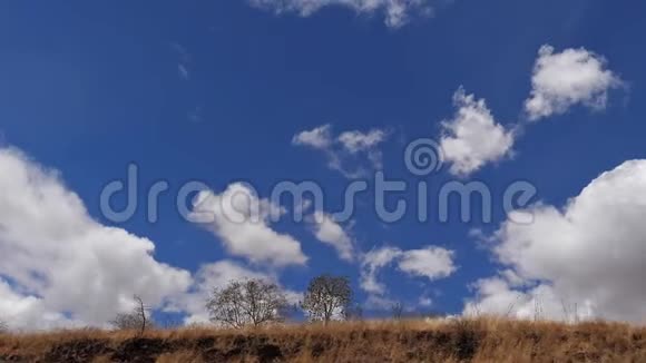 肯尼亚茨沃公园的萨凡纳景观天空与云视频的预览图