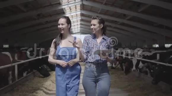 描绘两个女农民带着奶牛参观农场的谷仓女农民给游客看奶牛和视频的预览图