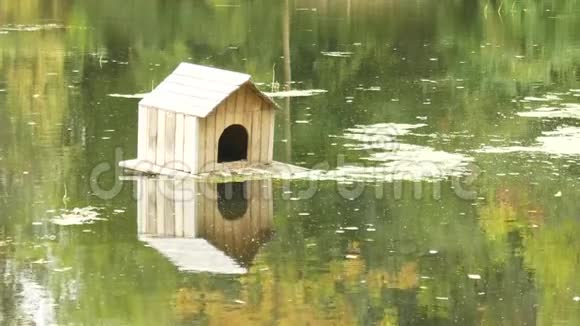 漂浮在池塘上的木制鸟舍视频的预览图