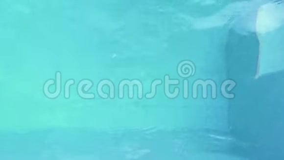 阳光明媚的一天漂亮的女人在度假游泳池里游泳夏天在游泳池里喝淡水的美女视频的预览图