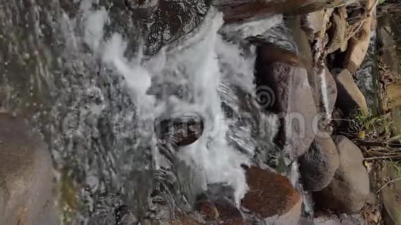 热带雨林瀑布的垂直视频的预览图