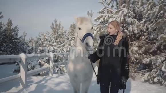可爱的金发女郎抚摸着她的手在一个下雪的乡村牧场上喂她一匹漂亮的白马马育种理念视频的预览图