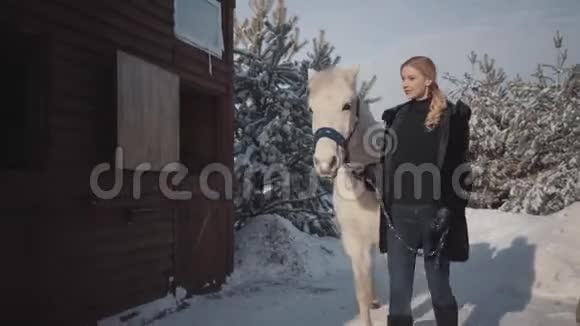 一个穿着外套的金发女孩正和一匹漂亮的白马在新鲜空气中行走一个年轻女子牵着马视频的预览图