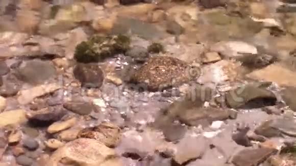 河床上的岩石视频的预览图