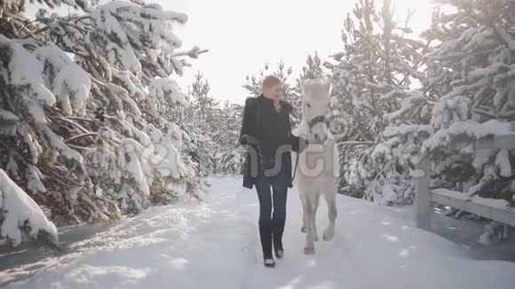 漂亮的女孩和马一起在雪冬牧场散步年轻女子牵着她的马头领在说话视频的预览图