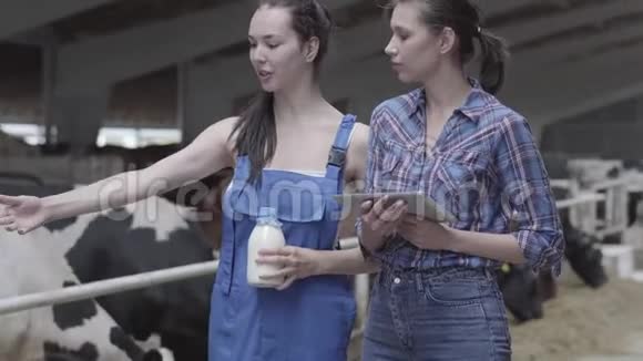 肖像两个可爱的女农民工人在奶牛场检查牛奶在瓶子里的质量一个女孩抱着视频的预览图