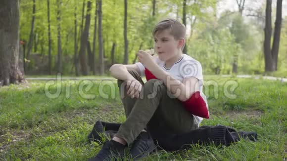 小男孩坐在绿色公园里抱着枕头吃苹果户外娱乐活动视频的预览图