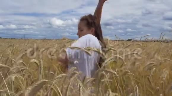 小麦海洋中的舞者视频的预览图