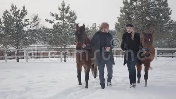 金发女人和男人牵着两匹棕色的马在雪冬牧场交谈马爱好者的年轻家庭快乐视频的预览图