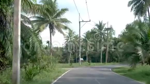 泰国汉丰楚蓬省有棕榈树的公路巨大的棕榈椰子树视频的预览图