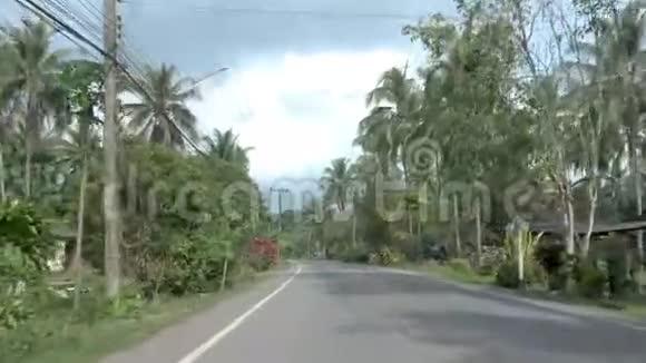 泰国汉丰楚蓬省有棕榈树的公路巨大的棕榈椰子树视频的预览图