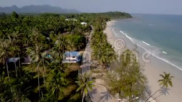 泰国汉丰白沙滩有棕榈树泰国汉丰地区棕榈树挂在海滩上视频的预览图
