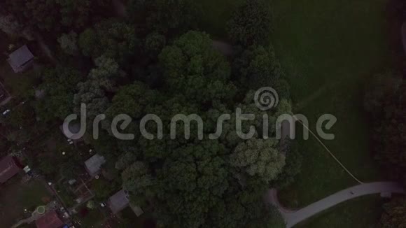 日落时分在慕尼黑的一个公园里进行了一次翻拍视频的预览图
