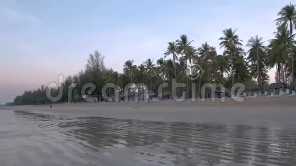 泰国普吉岛高拉克海滩日出期间白色海滩上有棕榈树视频的预览图